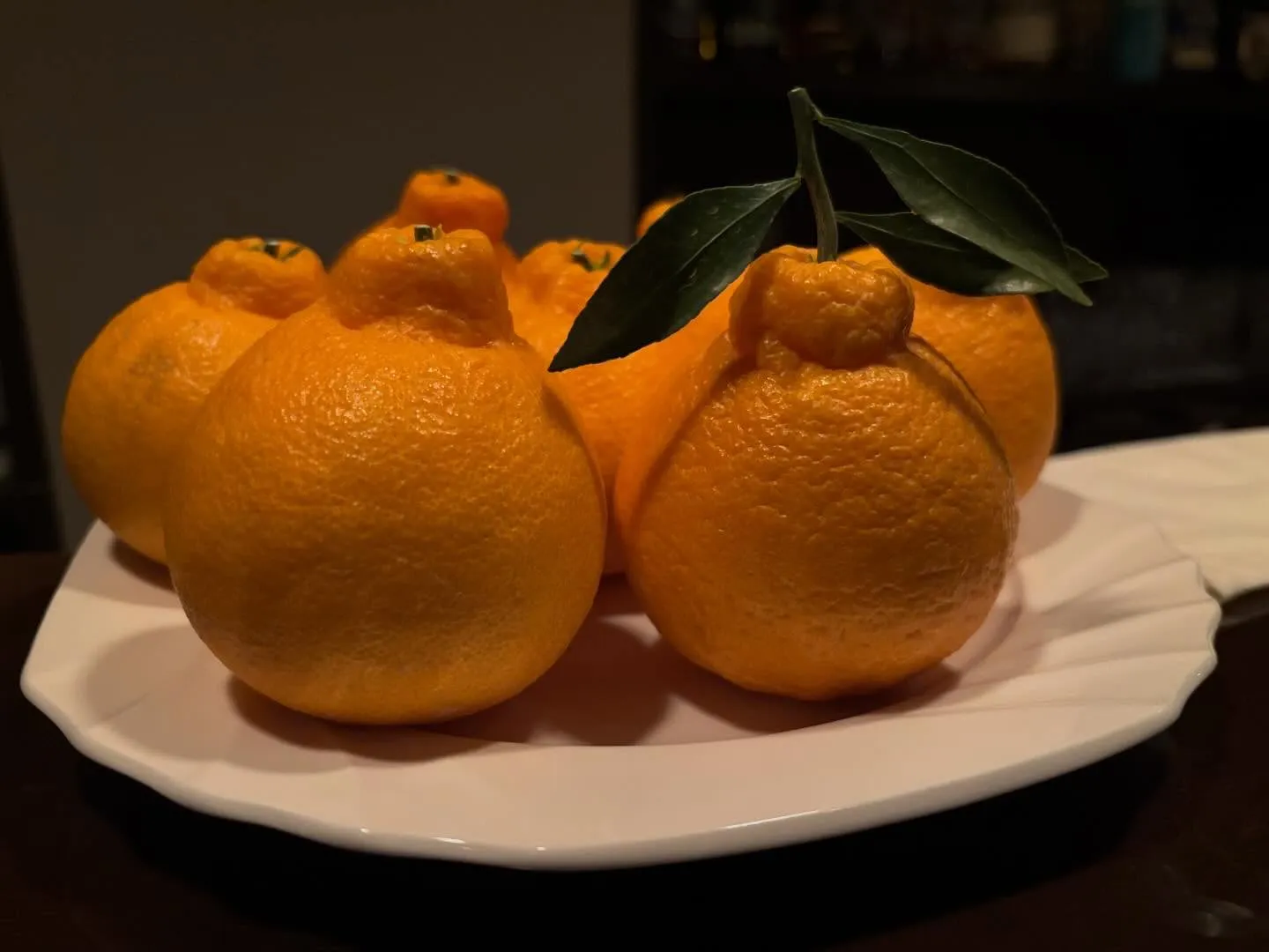 本日も17:00オープンです。