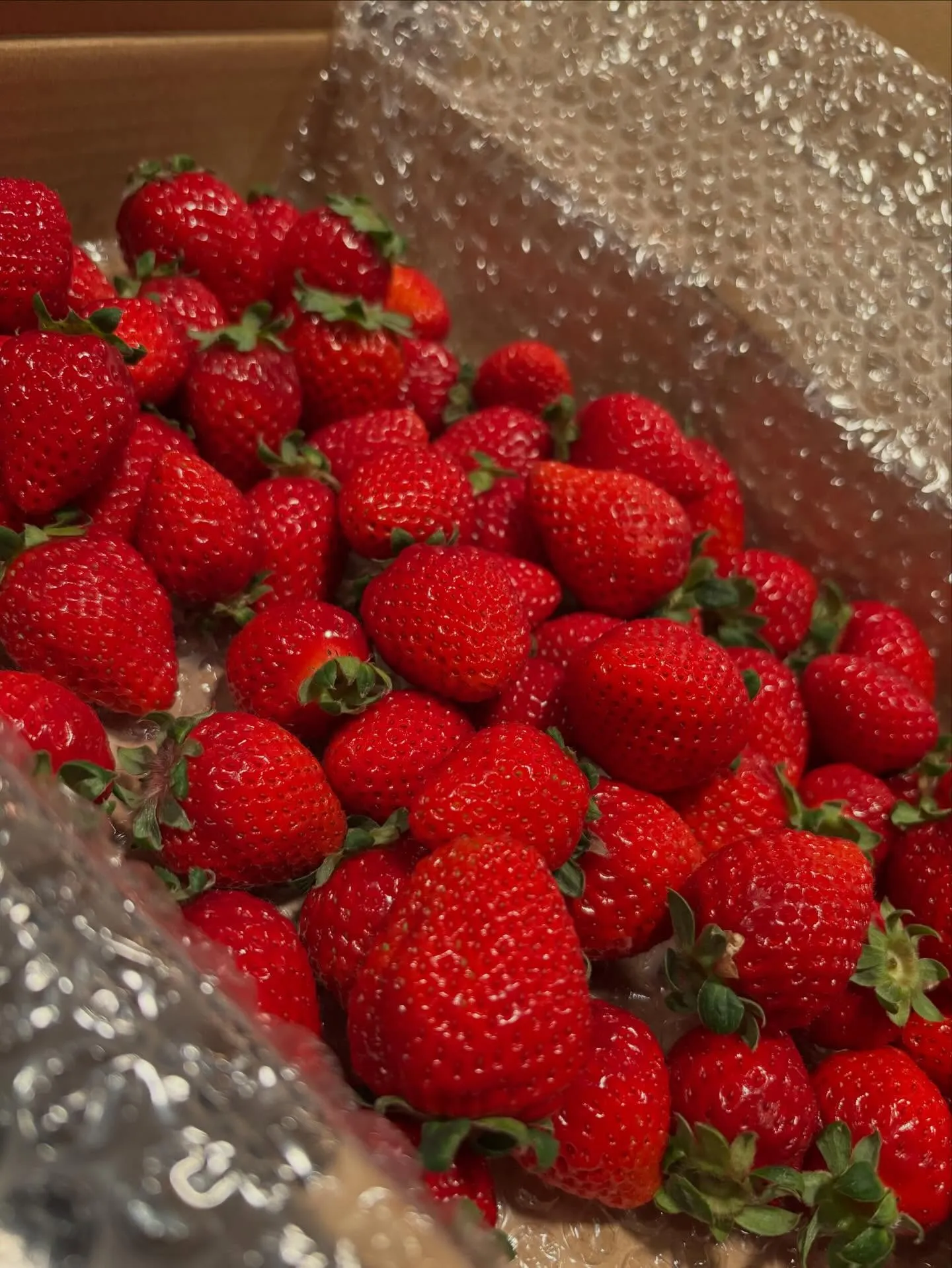 本日も17:00オープンです。