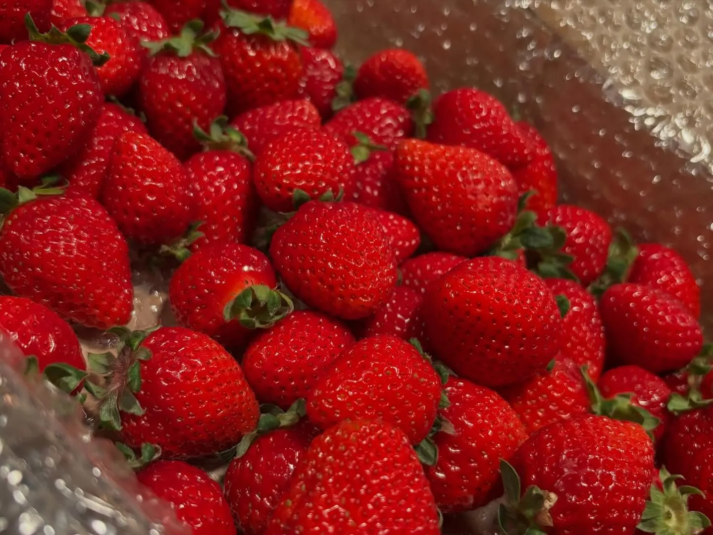 本日も17:00オープンです。