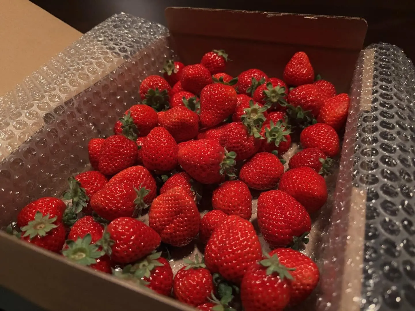 本日も17:00オープンです。