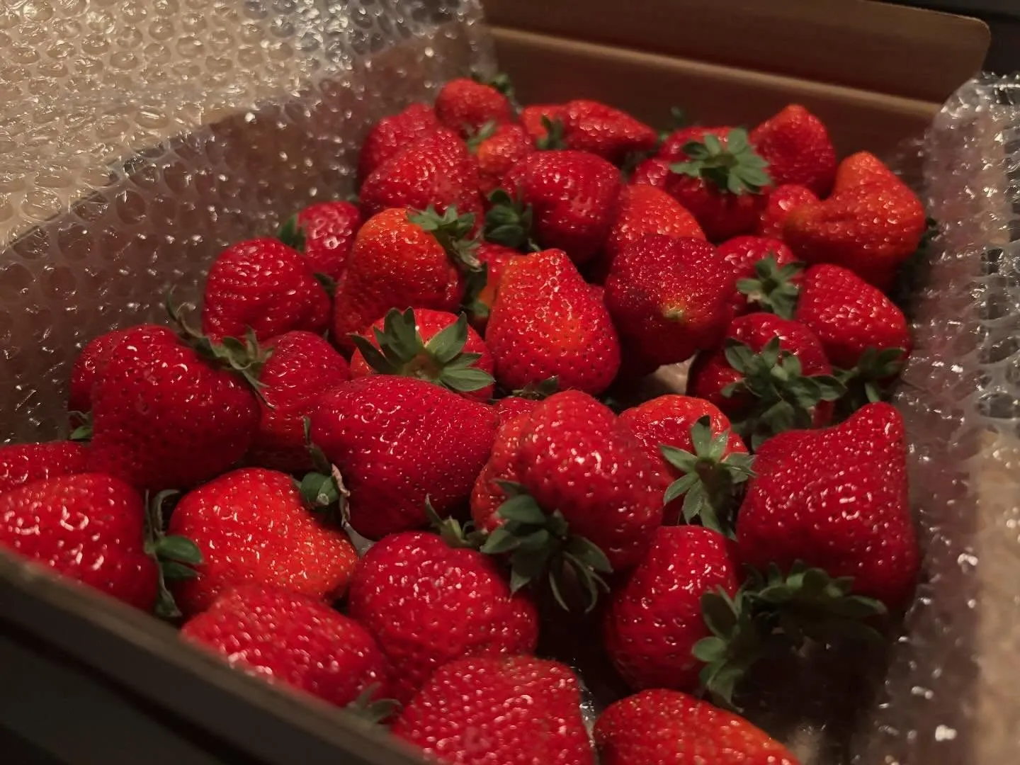 今週も美味しいイチゴ入荷してます。
