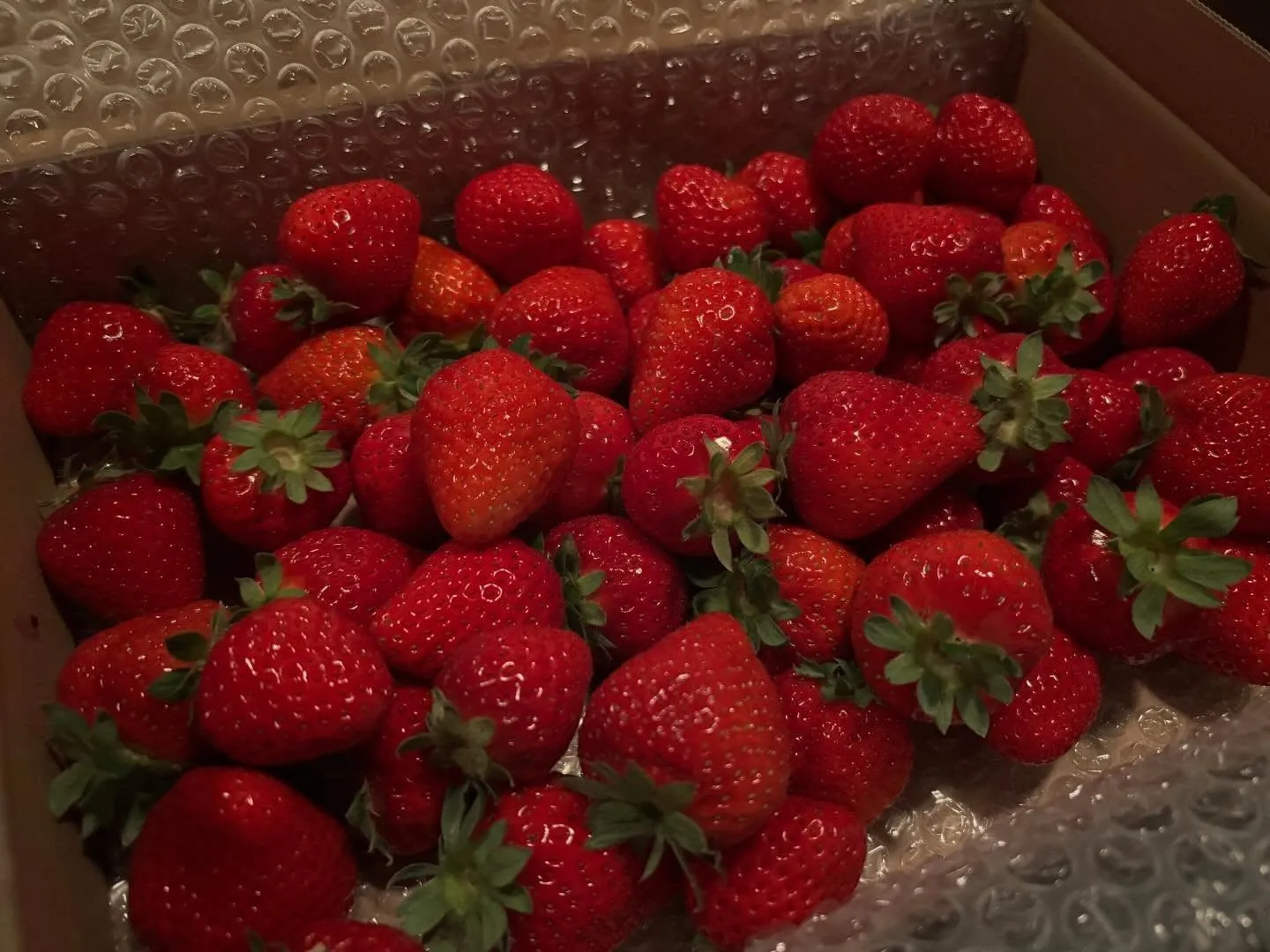 本日も17:00オープンです。